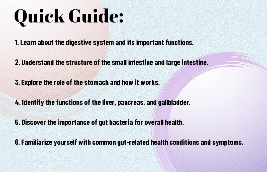 anatomy of your gut a detailed guide ddt