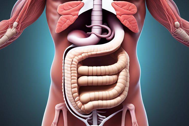 gut anatomy understanding your digestive system cfc